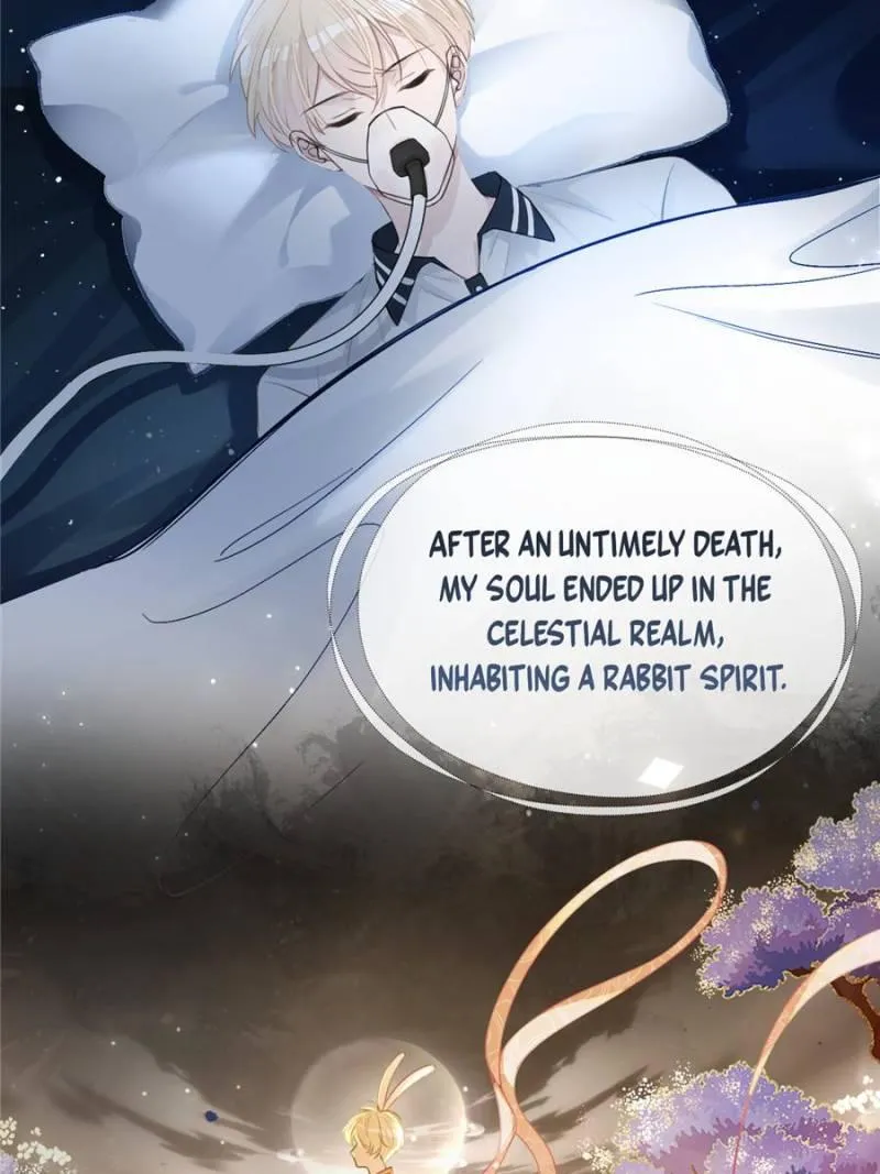 Quick Transmigration: Addictive Relationship - Chapter 1 Page 19