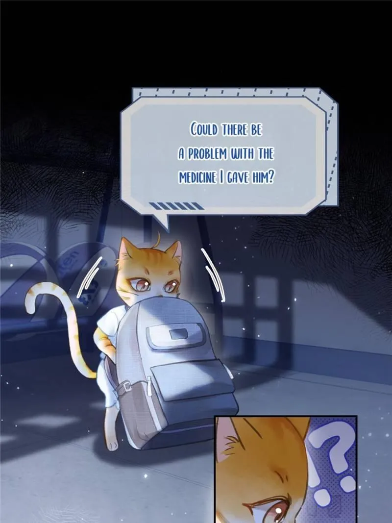 Quick Transmigration: Addictive Relationship - Chapter 1 Page 37