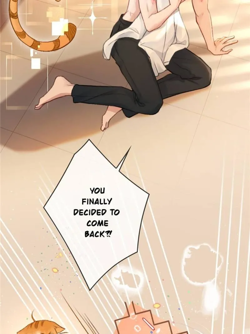 Quick Transmigration: Addictive Relationship - Chapter 2 Page 5