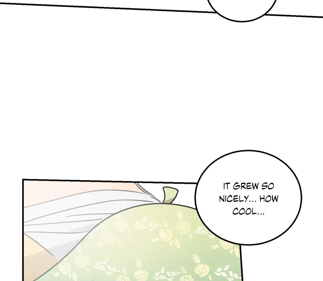 Our Sunny Days - Chapter 34 Page 5