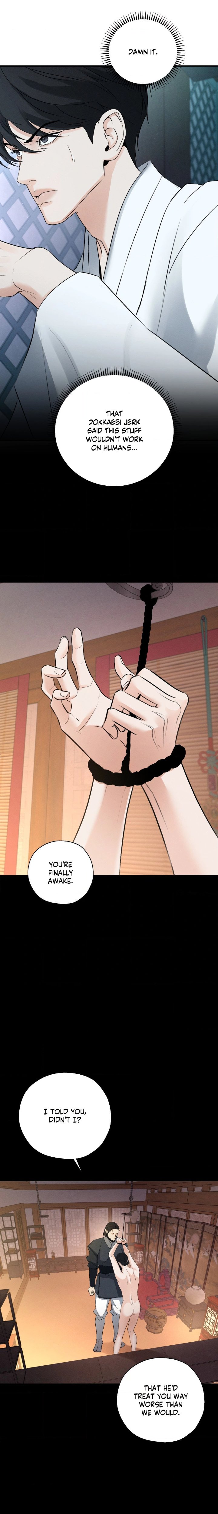 The Dokkaebi’s Soul Qi Bride - Chapter 15 Page 5