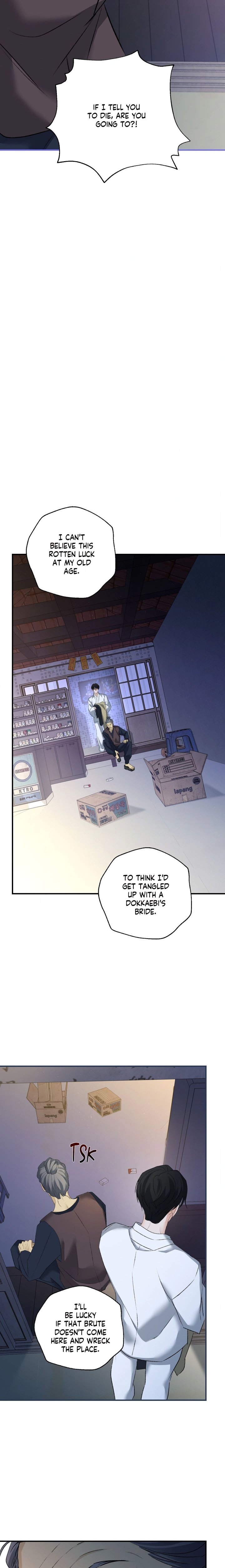 The Dokkaebi’s Soul Qi Bride - Chapter 17 Page 21