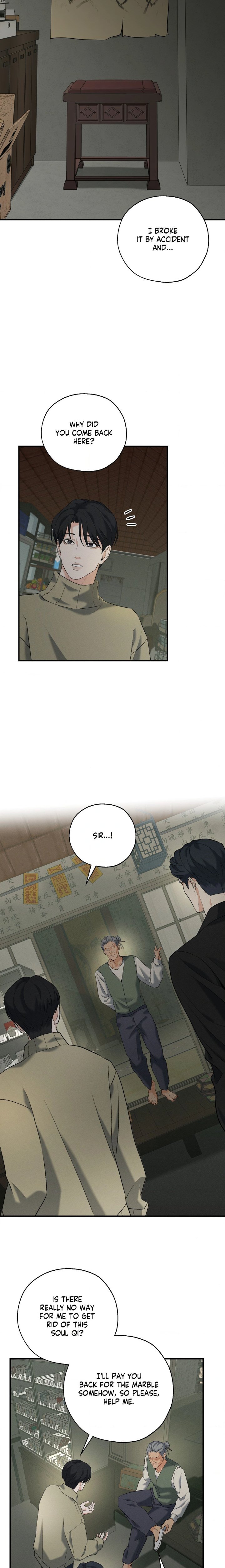 The Dokkaebi’s Soul Qi Bride - Chapter 21 Page 15