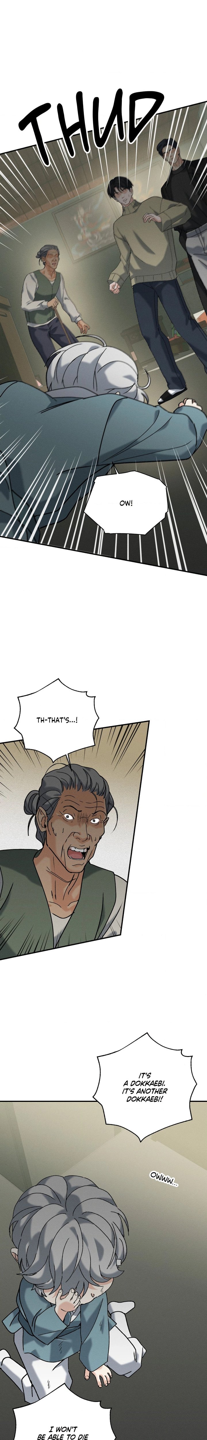The Dokkaebi’s Soul Qi Bride - Chapter 21 Page 17