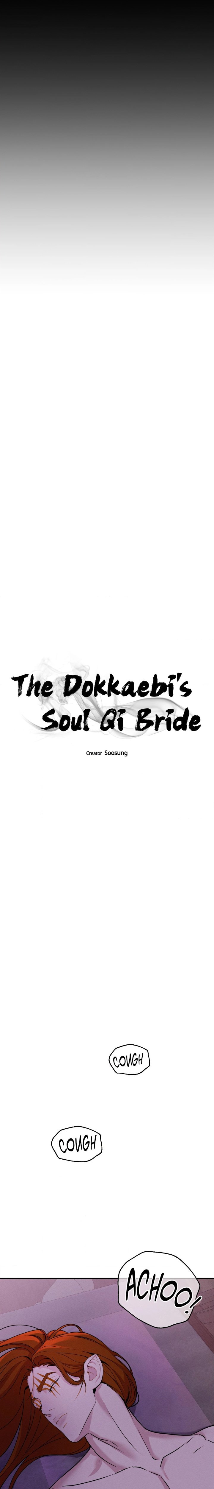The Dokkaebi’s Soul Qi Bride - Chapter 3 Page 6