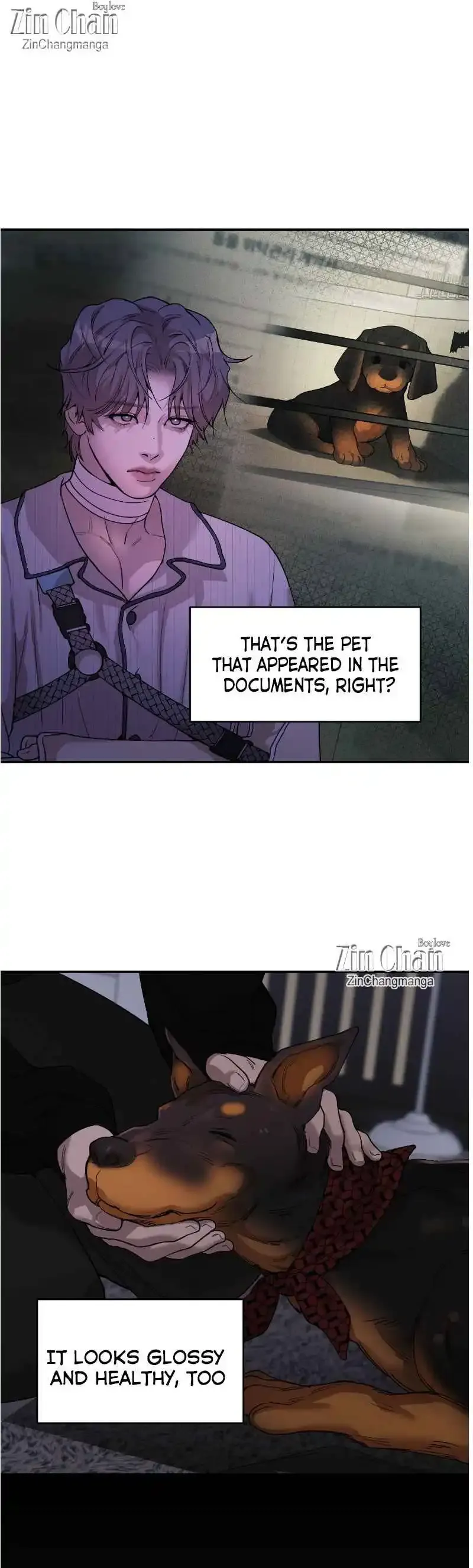 Pearl Boy: Ignite The Dawn - Chapter 19 Page 17