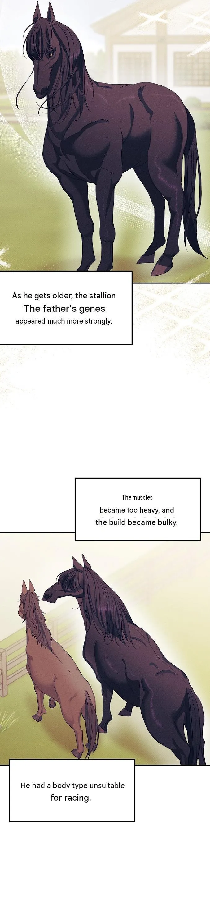 Monthly Animal: A Special Day for a Stud Horse - Chapter 0 Page 2