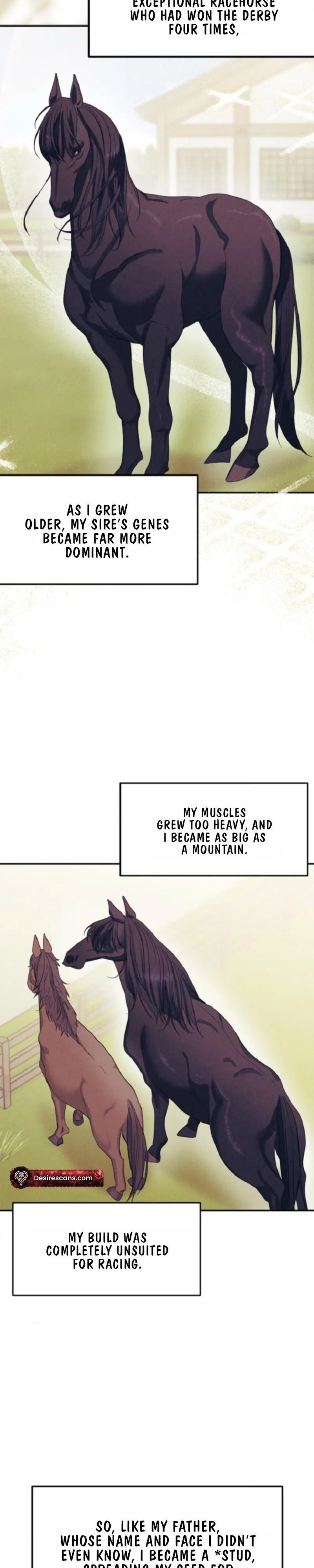 Monthly Animal: A Special Day for a Stud Horse - Chapter 1 Page 2