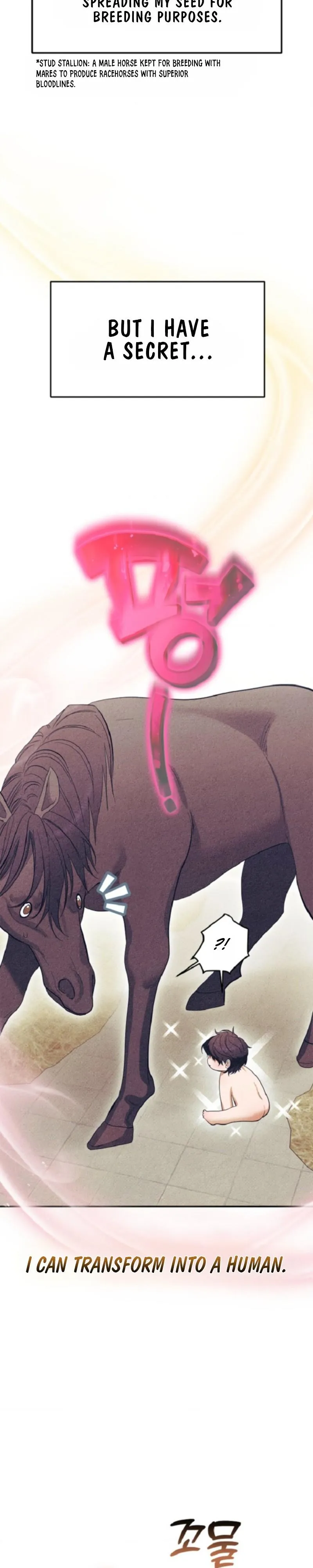 Monthly Animal: A Special Day for a Stud Horse - Chapter 1 Page 3
