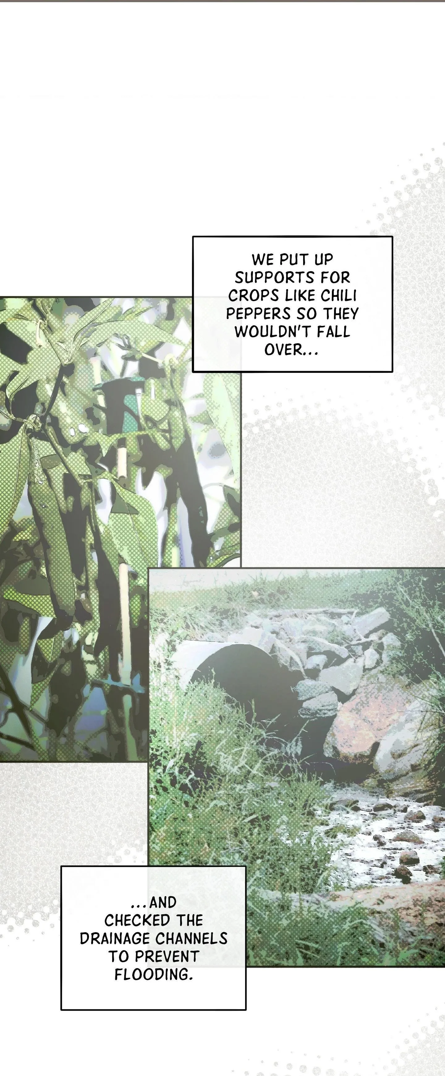 Farm Boy Rivalry - Chapter 8 Page 31