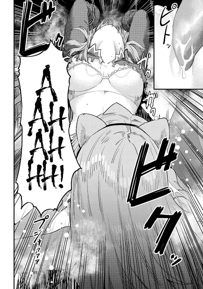Kaifuku Jutsushi No Yarinaoshi - Chapter 30.2 Page 3