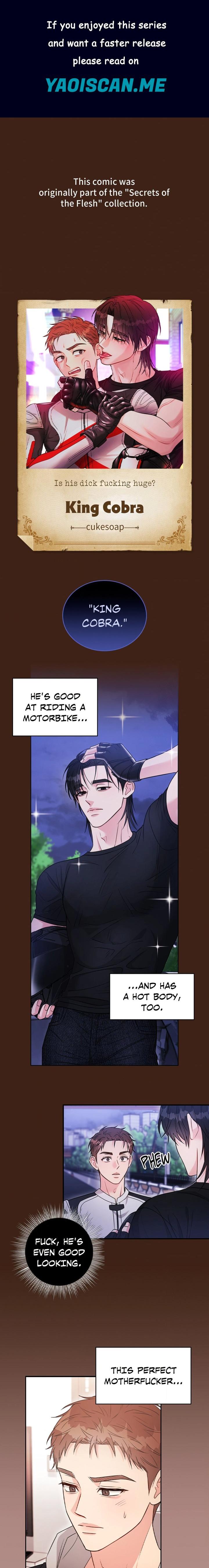 King Cobra (Uncensored) - Chapter 0 Page 1