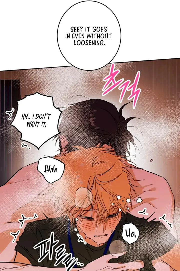Full Book - Chapter 1 Page 43