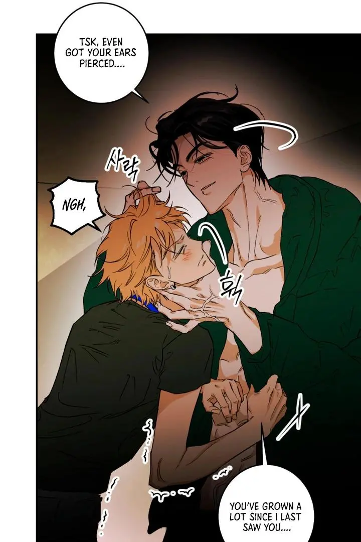 Full Book - Chapter 1 Page 152