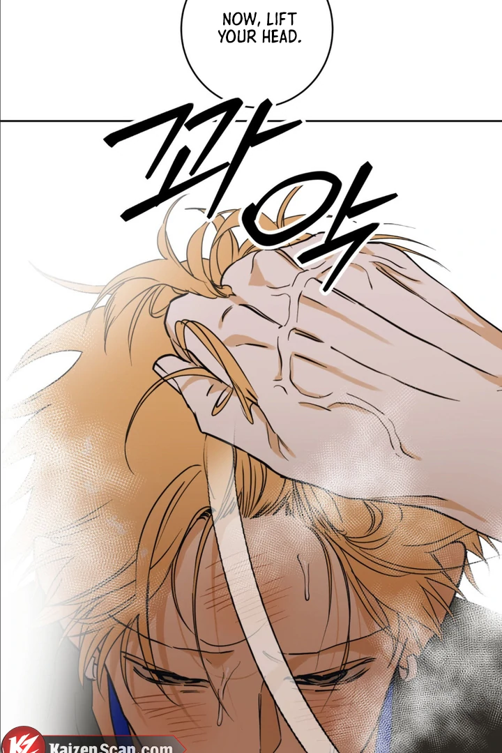 Full Book - Chapter 3 Page 67