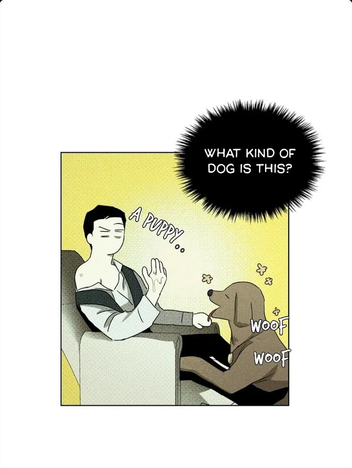 Under The Green Light - Chapter 26 Page 22