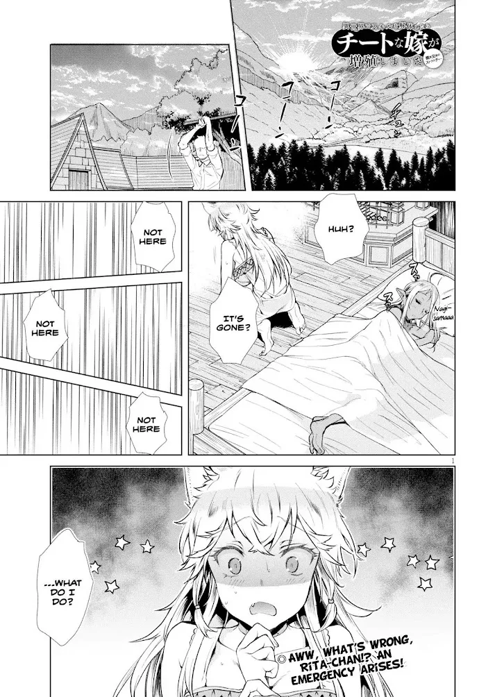 Isekai De Skill Wo Kaitai Shitara Cheat Na Yome Ga Zoushoku Shimashita: Gainen Kousa No Structure - Chapter 21.5 Page 1