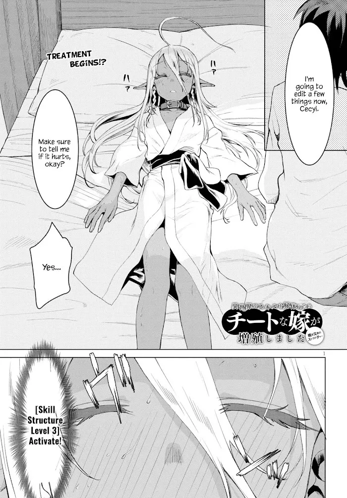 Isekai De Skill Wo Kaitai Shitara Cheat Na Yome Ga Zoushoku Shimashita: Gainen Kousa No Structure - Chapter 27 Page 1
