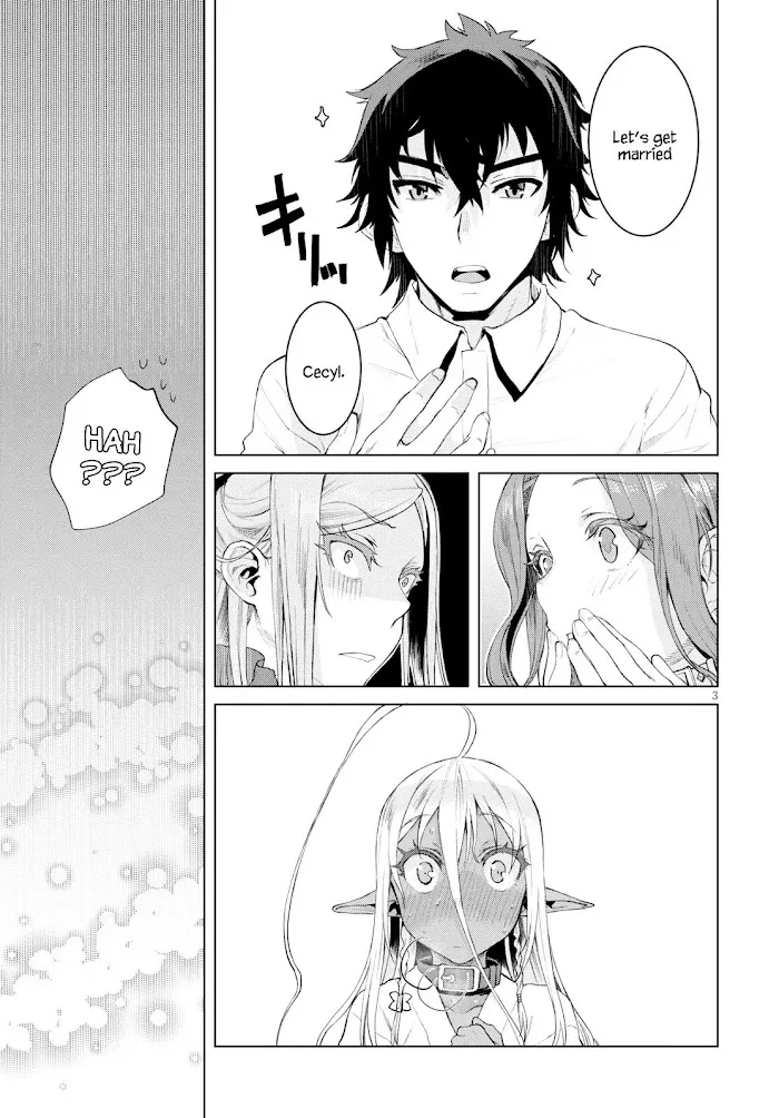 Isekai De Skill Wo Kaitai Shitara Cheat Na Yome Ga Zoushoku Shimashita: Gainen Kousa No Structure - Chapter 27 Page 3