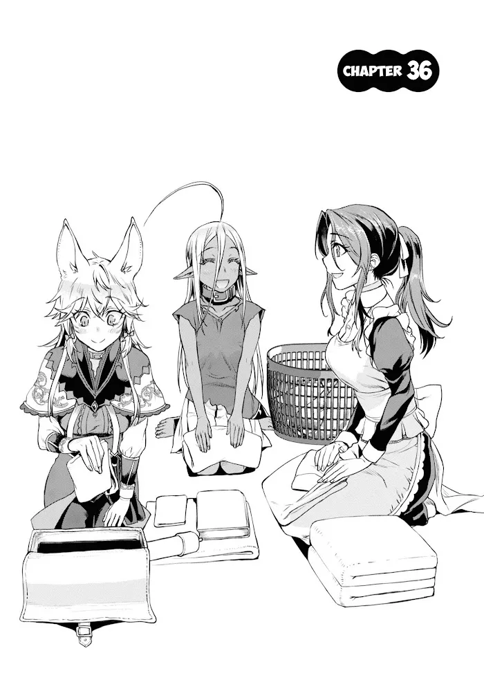 Isekai De Skill Wo Kaitai Shitara Cheat Na Yome Ga Zoushoku Shimashita: Gainen Kousa No Structure - Chapter 36 Page 3