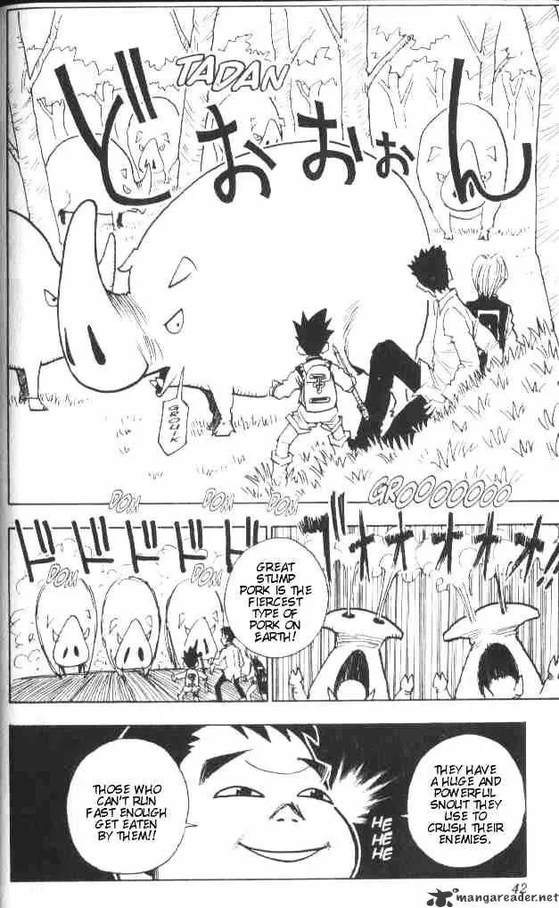 Hunter X Hunter - Chapter 10 Page 17