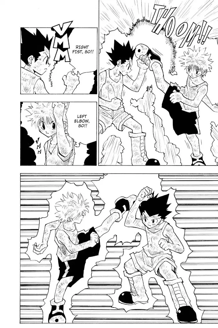 Hunter X Hunter - Chapter 142 Page 8