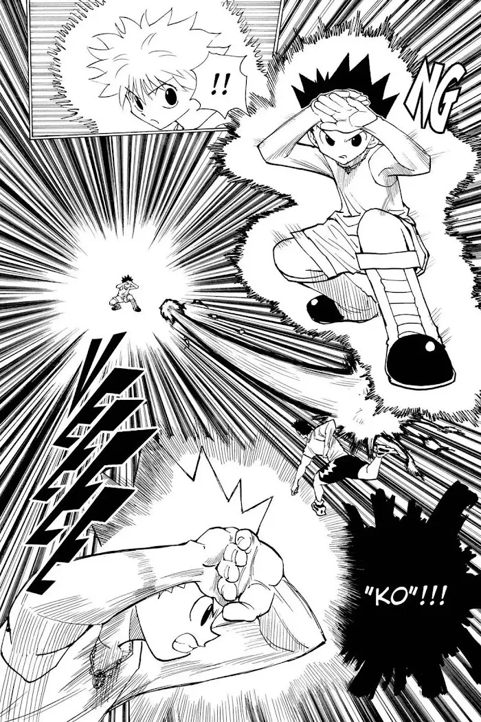 Hunter X Hunter - Chapter 163 Page 8