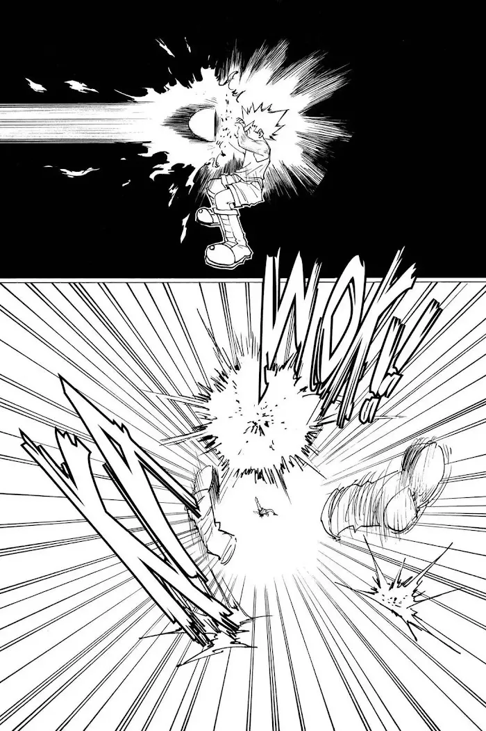 Hunter X Hunter - Chapter 163 Page 9