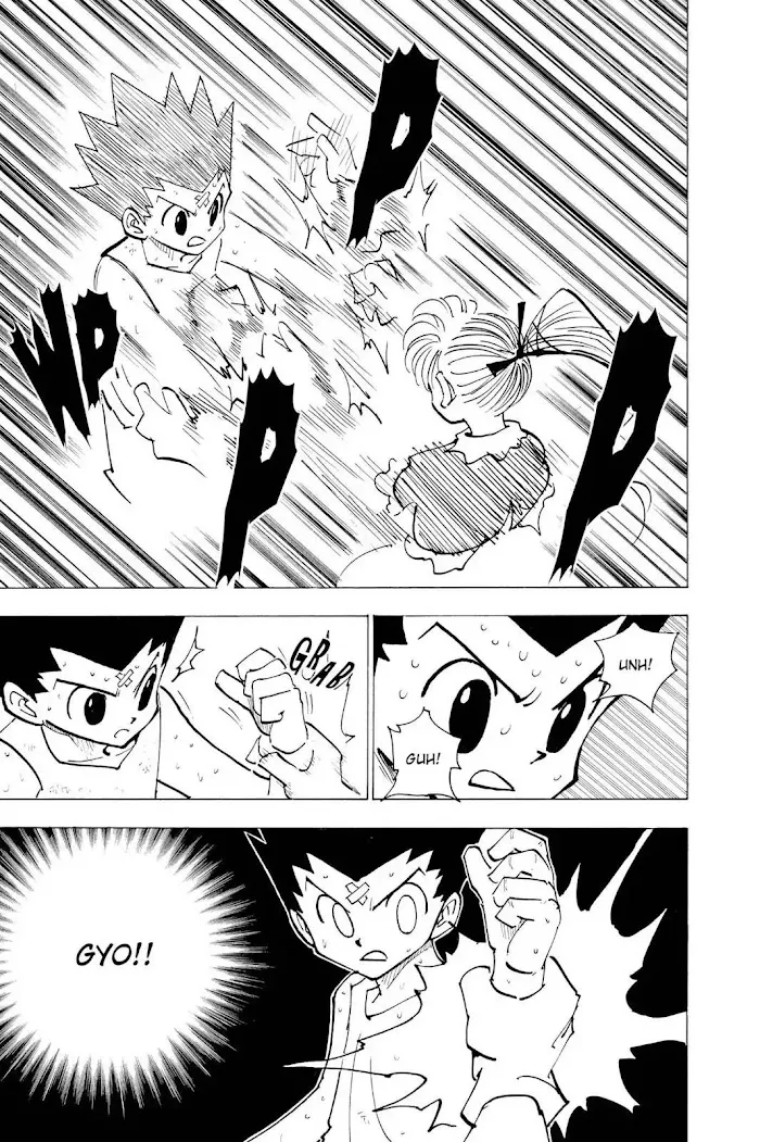 Hunter X Hunter - Chapter 171 Page 5
