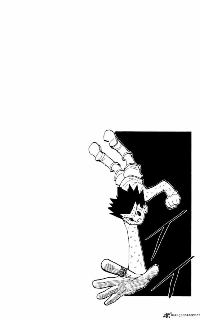 Hunter X Hunter - Chapter 173 Page 16