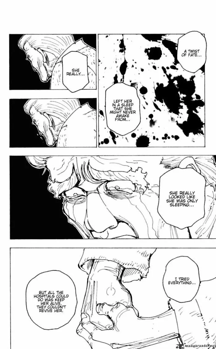 Hunter X Hunter - Chapter 174 Page 14