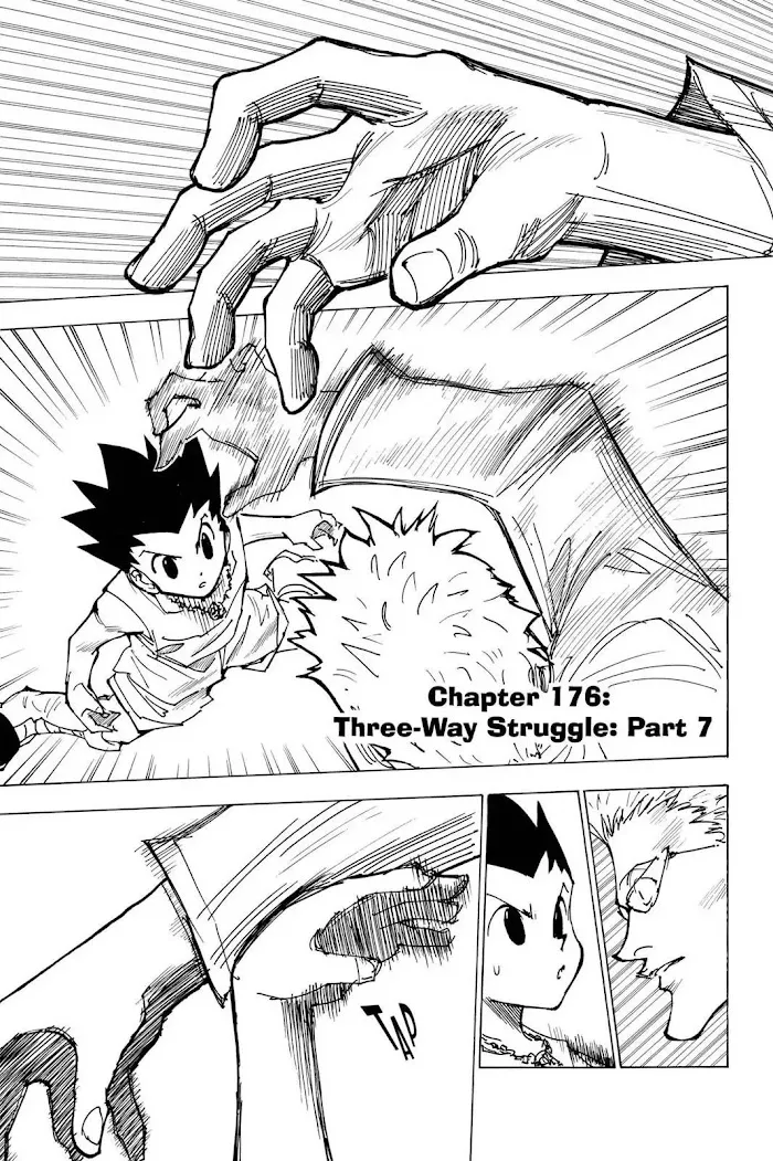 Hunter X Hunter - Chapter 176 Page 7