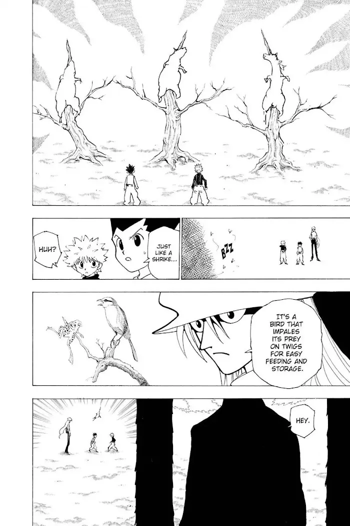Hunter X Hunter - Chapter 191 Page 2