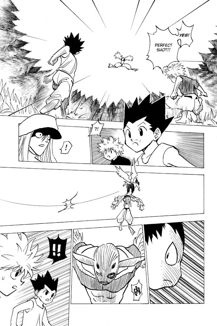 Hunter X Hunter - Chapter 191 Page 13