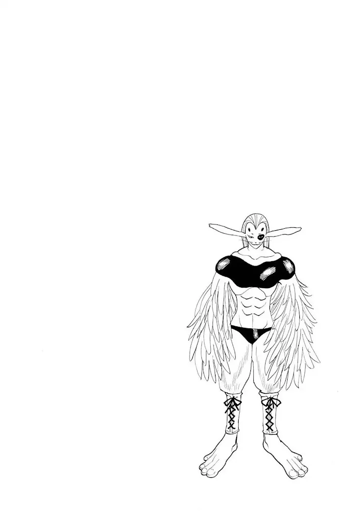 Hunter X Hunter - Chapter 191 Page 16