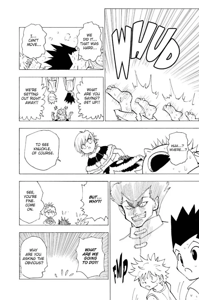Hunter X Hunter - Chapter 202 Page 12
