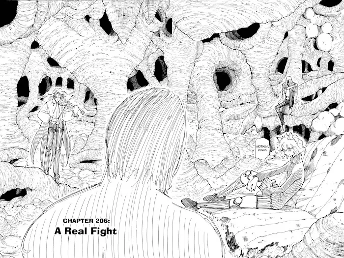 Hunter X Hunter - Chapter 206 Page 4