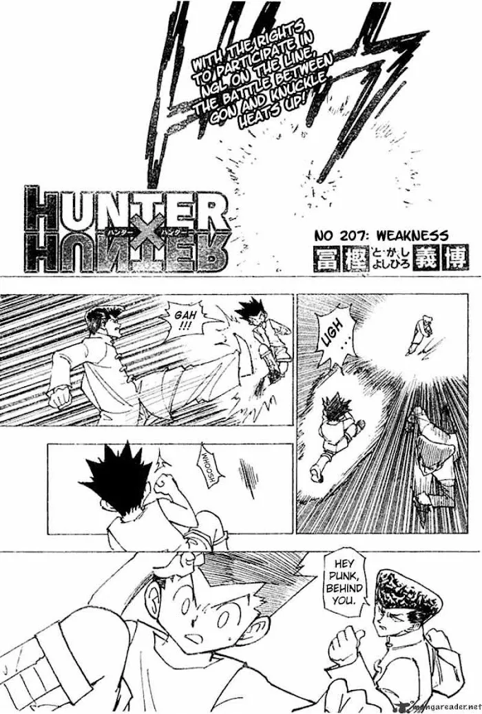 Hunter X Hunter - Chapter 207 Page 2