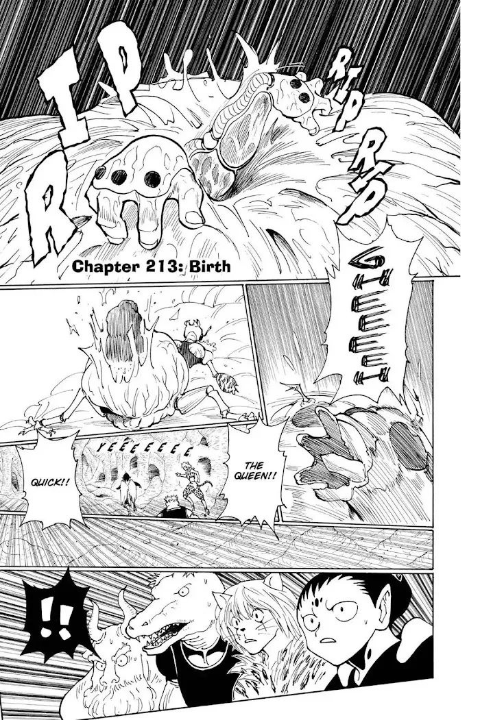 Hunter X Hunter - Chapter 213 Page 1
