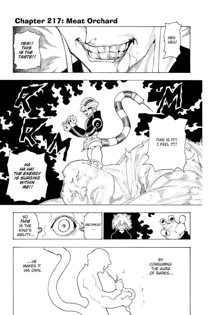 Hunter X Hunter - Chapter 217 Page 1