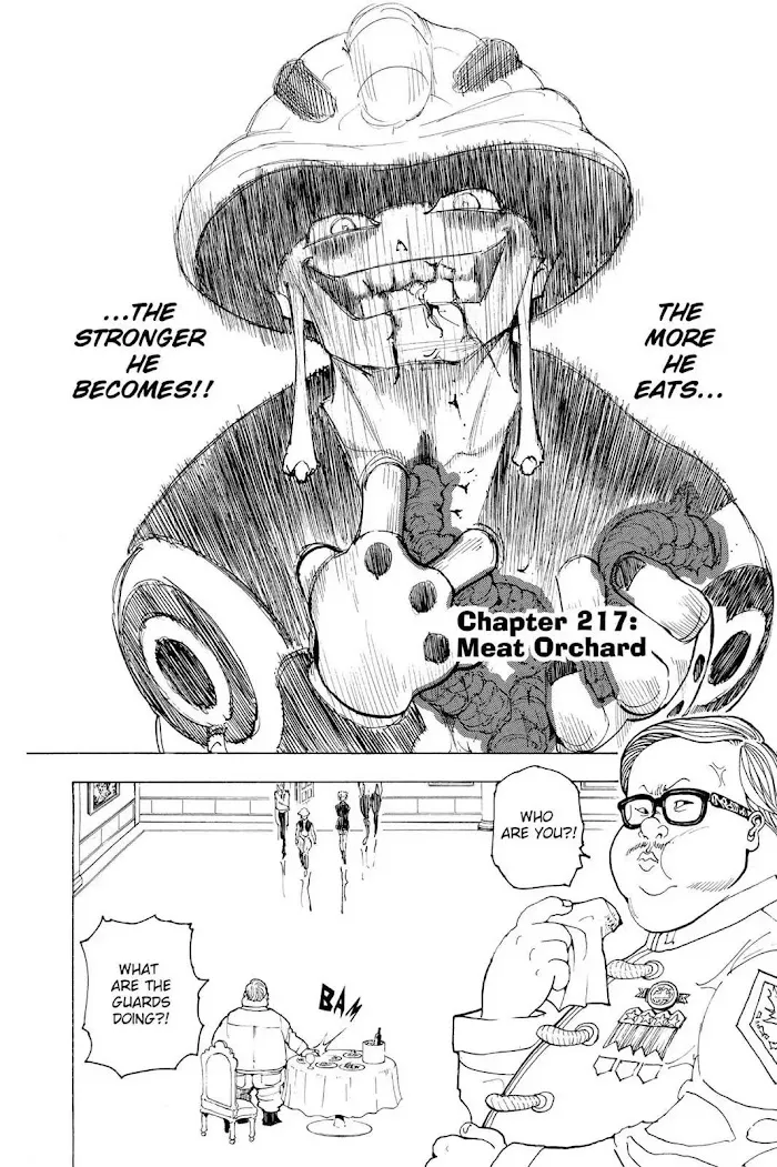 Hunter X Hunter - Chapter 217 Page 2