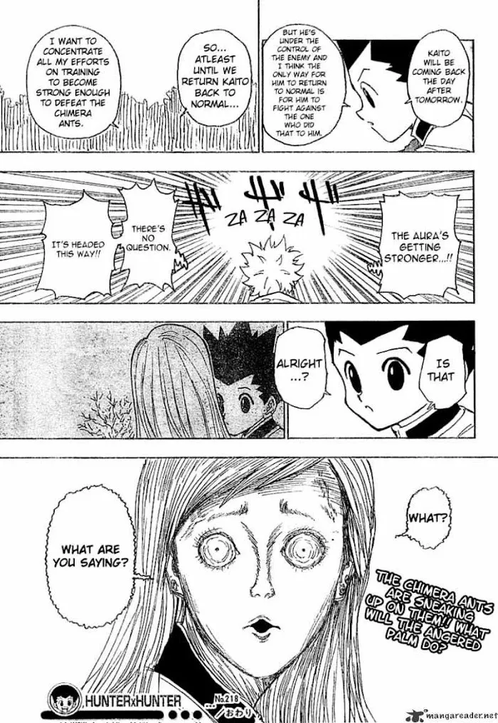 Hunter X Hunter - Chapter 218 Page 16