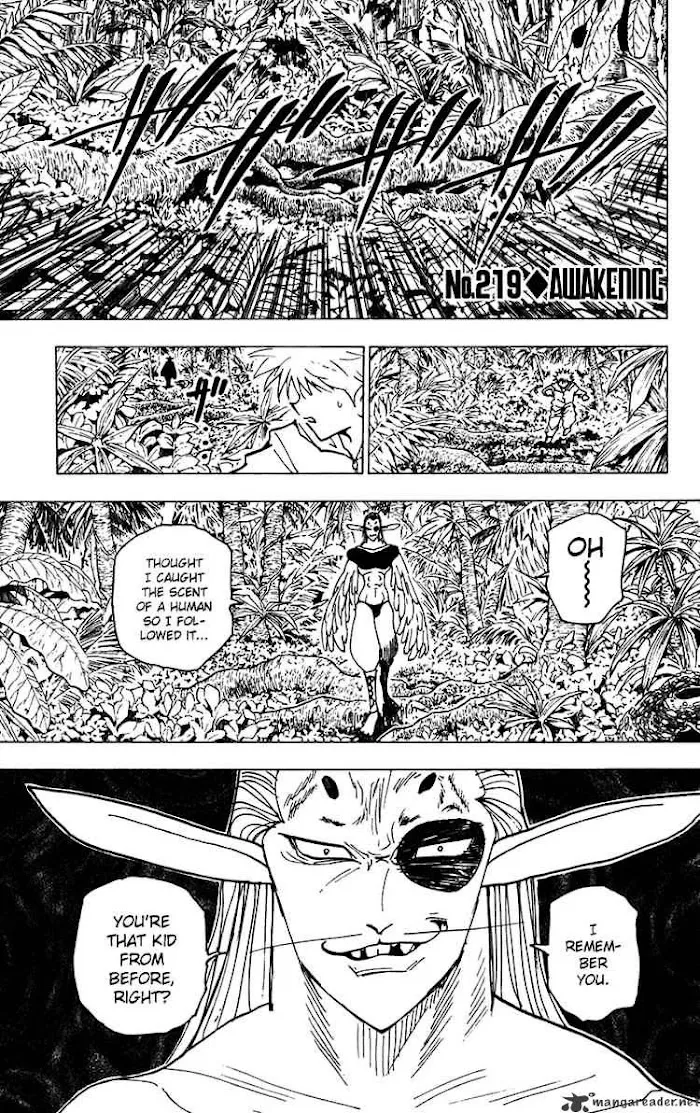 Hunter X Hunter - Chapter 219 Page 1