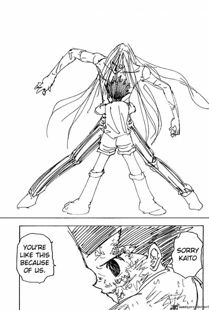 Hunter X Hunter - Chapter 222 Page 11