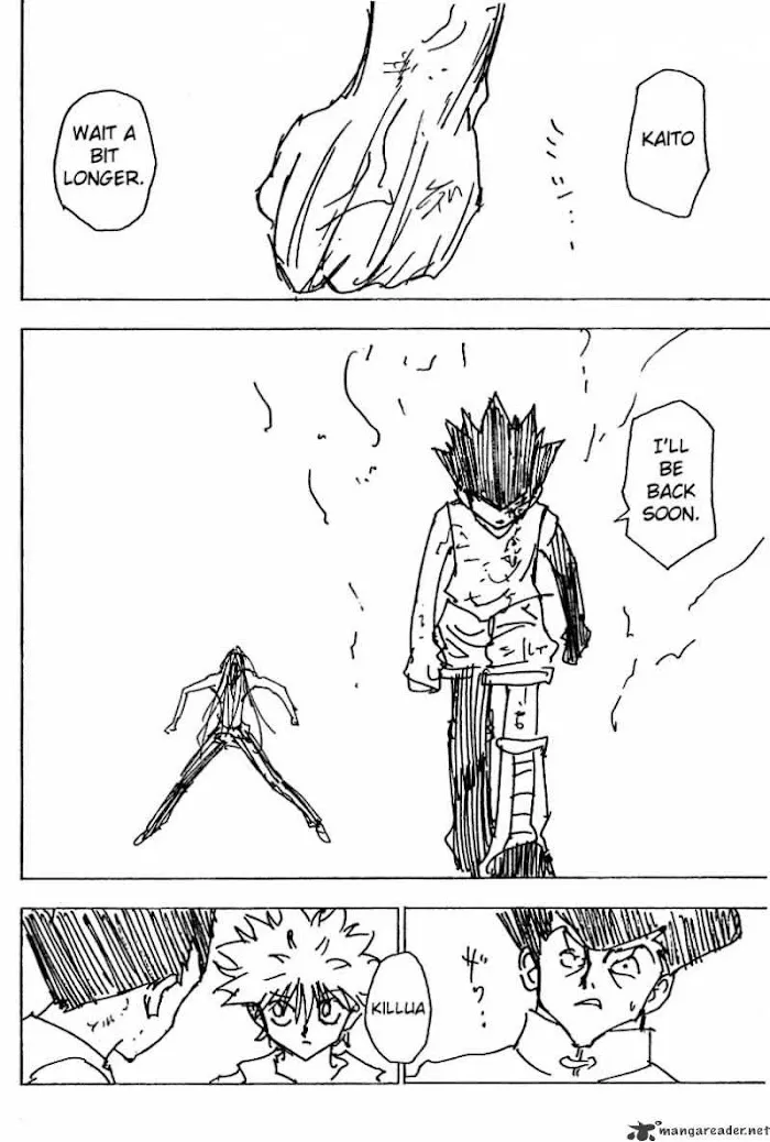 Hunter X Hunter - Chapter 222 Page 14