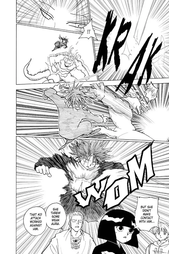 Hunter X Hunter - Chapter 228 Page 14