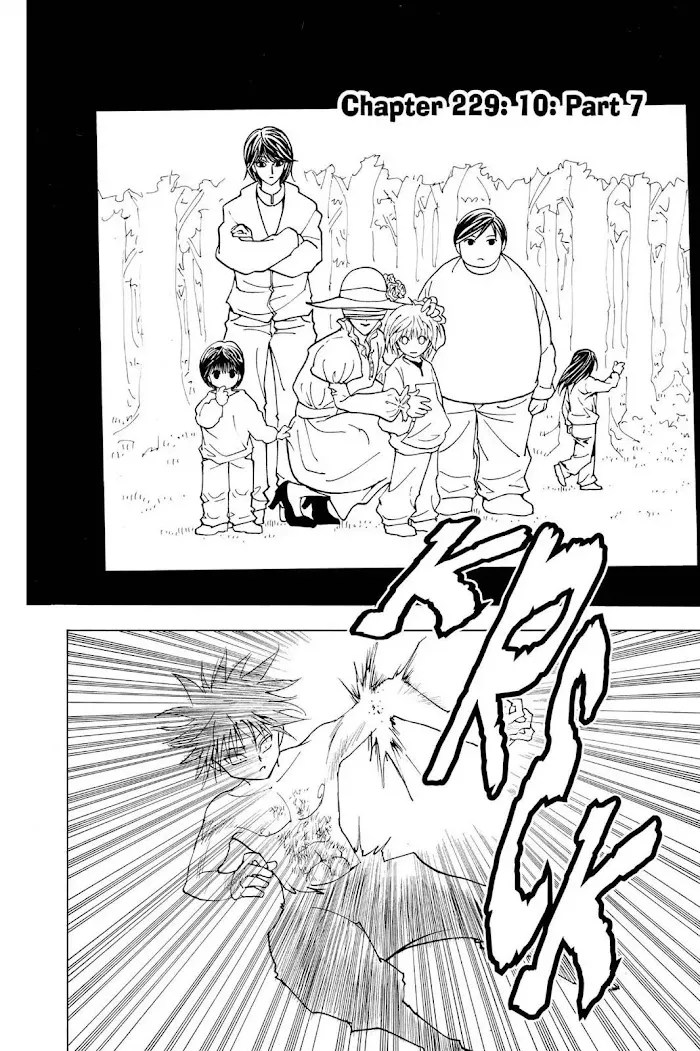 Hunter X Hunter - Chapter 229 Page 2