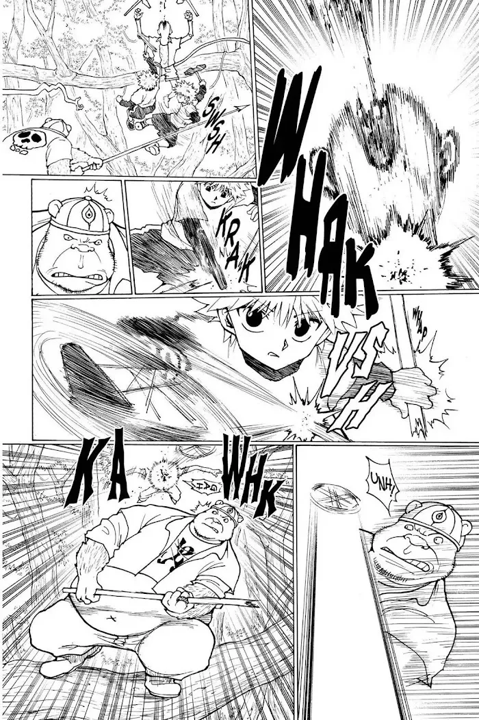 Hunter X Hunter - Chapter 236 Page 12