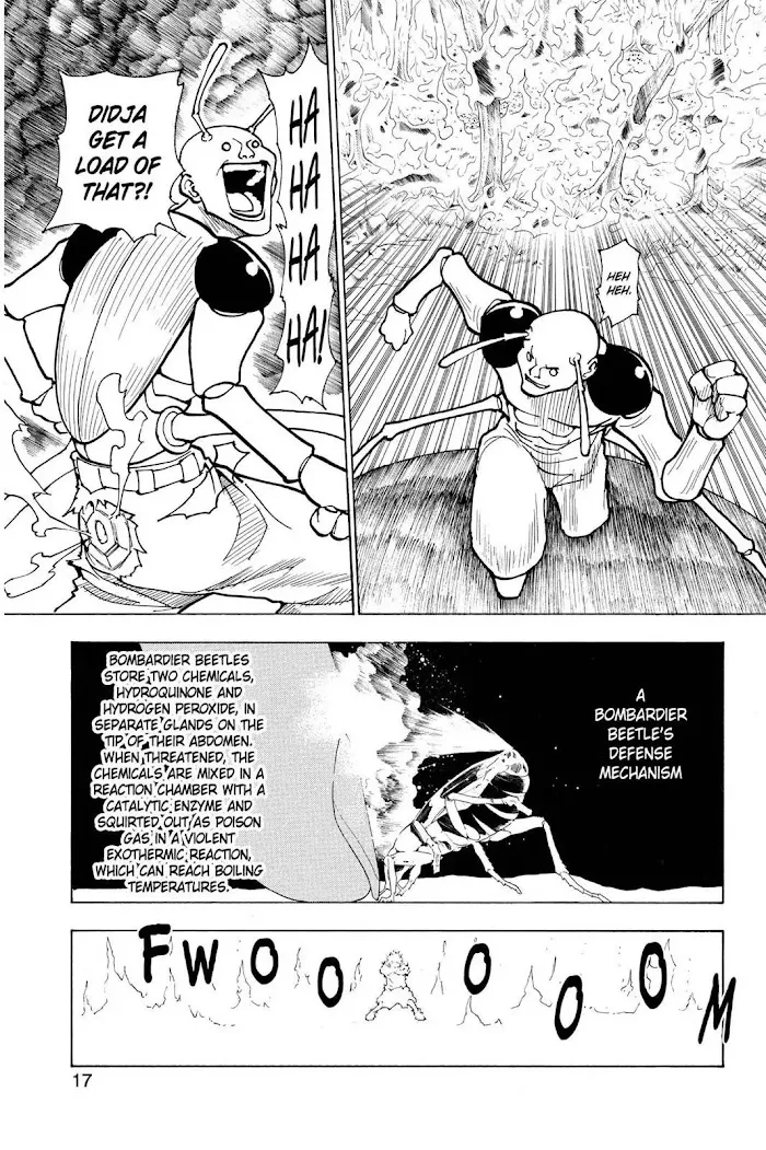 Hunter X Hunter - Chapter 236 Page 17