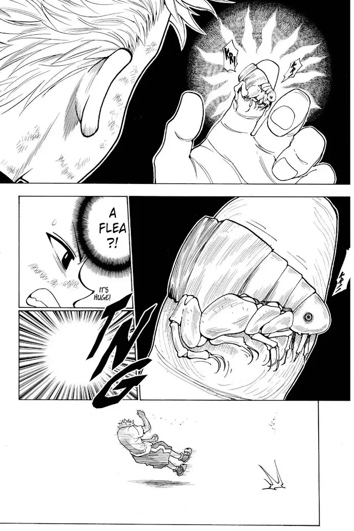 Hunter X Hunter - Chapter 236 Page 20